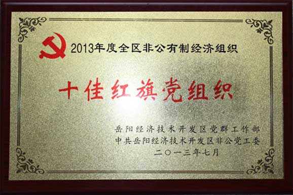 党支部荣誉.jpg